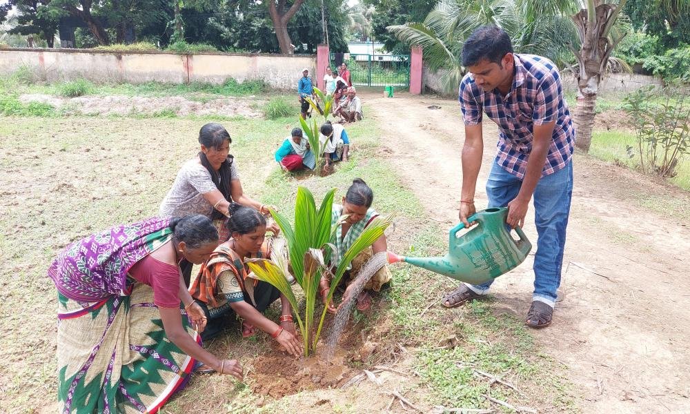 Live webcasting of large tree plantation program on the auspicious occasion of Hariyali Amavasya on 12.08.2026
