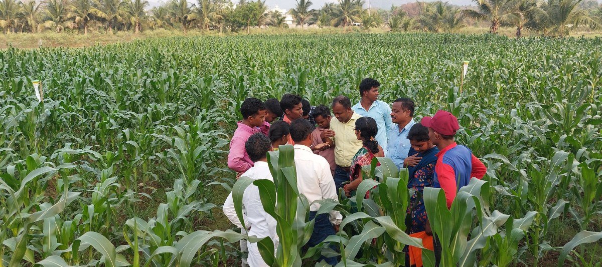 Krishi Vigyan Kendra Rayagada